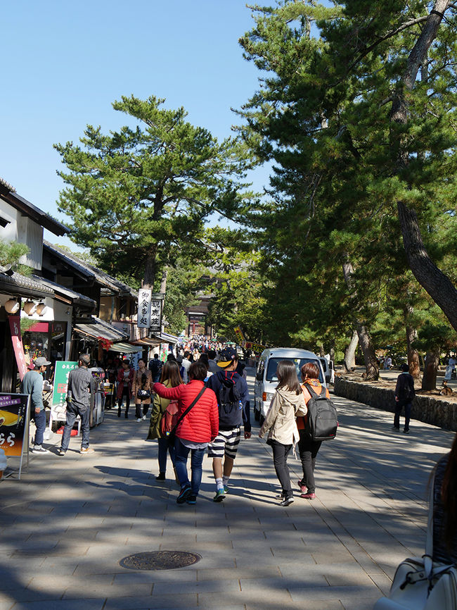 朝早くから多くの観光客が