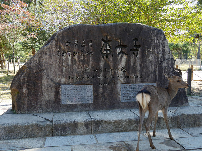 今日も世界文化遺産の記念碑を・・・