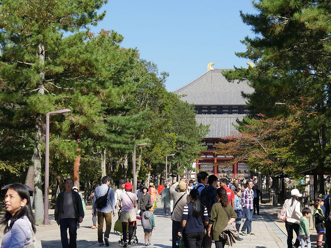 大仏殿が見えて来ました