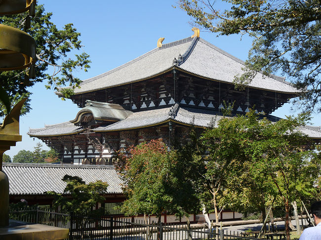 二月堂参道からみた大仏殿