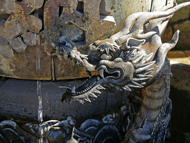 今年は虎が来て、来年はドラゴンが来る・・・♪