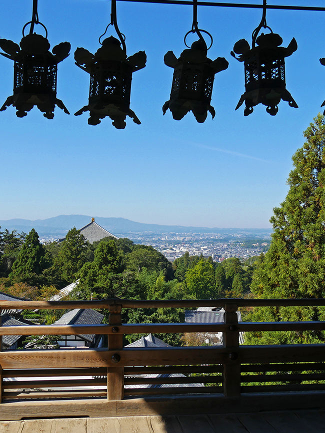 良い眺めです！