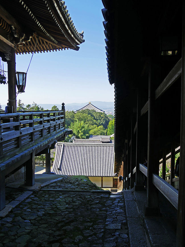 二月堂よりみた東大寺大仏殿