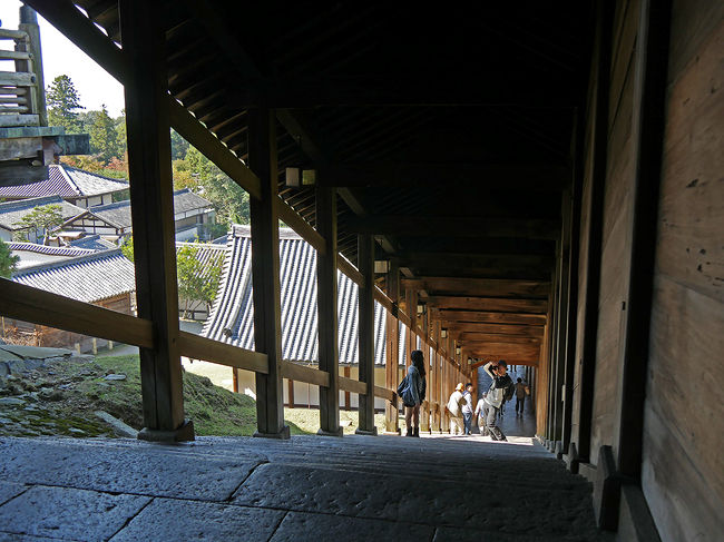 二月堂舞台より下に降りる石段