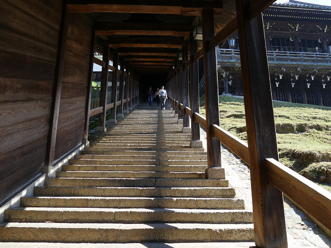 石段下より上方を、かなり急な石段だ