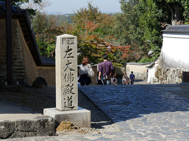 大仏殿の裏手を右方向へ・・・・