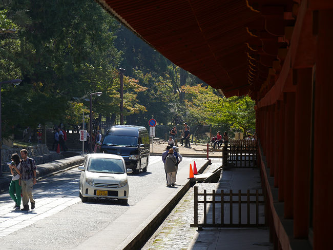 やっと大仏殿右側伽藍へ戻ってきました