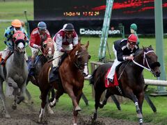 競馬

■ 関連旅行記 ■
競馬観戦 （ヘイスティングス競馬場）
http://4travel.jp/travelogue/10941345