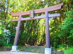 最後にやってきたのは、くしふる神社(難しい漢字なので変換出来ず)。　この場所までもツラかった〜!　やっぱり車がナイときついのかも、高千穂観光は…。

天地光臨の地として知られる神社です。
