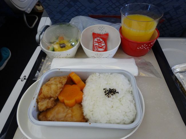 優先搭乗はスルーして最後の方で機内へ乗り込みます。<br />お隣は台湾人のお兄さん。<br />毎回思う、ムスメよ、離着陸時だけはいい子でいてねと！<br /><br />離陸にあわせて授乳のつもりがなかなか滑走路までたどり着かない。<br />グズりそうなのでちょっと早いけど授乳開始。<br />飲み終わってもまだ飛行機は動かず・・・旦那はまた寝てる★イラッ<br />地味にゆらゆらしてたら、離陸前にムスメは寝てくれた。<br /><br />機内食、どした？！キャセイらしからぬ見た目＆お味。<br />どこの航空会社でも、ご飯でもついてくるパンすらないのにはビックリ！