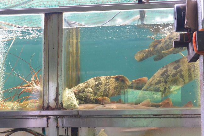 ラカイン料理のミン・ラン・モンティ・パラミ店