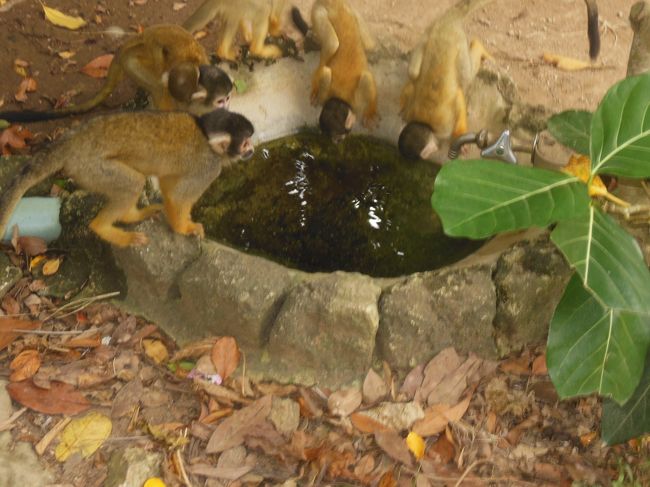 絵になります。