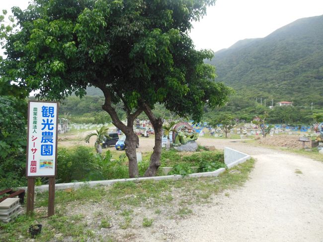 将来は、「観光農園」といった様な名前で有料になるのかもしれません。