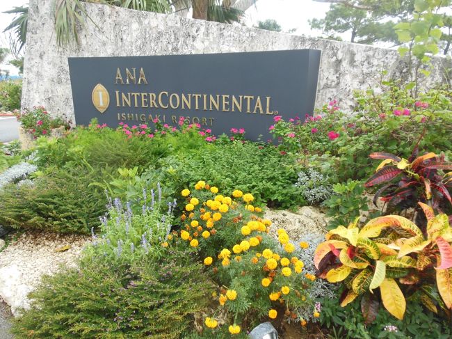 再び、今夜のホテルはＡＮＡインターコンチネンタルホテル。