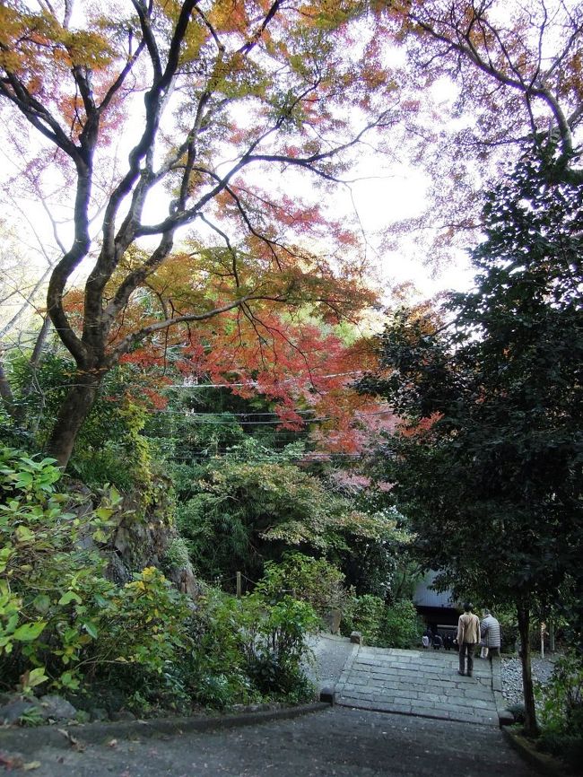 ここからは徒歩で。紅葉が綺麗です。