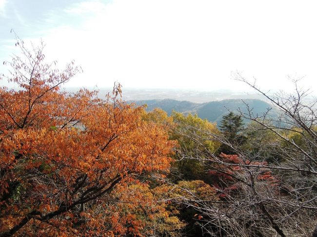 ここからは紅葉を中心に。