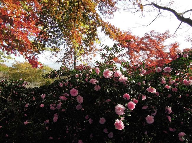 花も彩りを添えて。