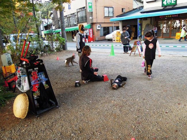 お猿の芸やってました。