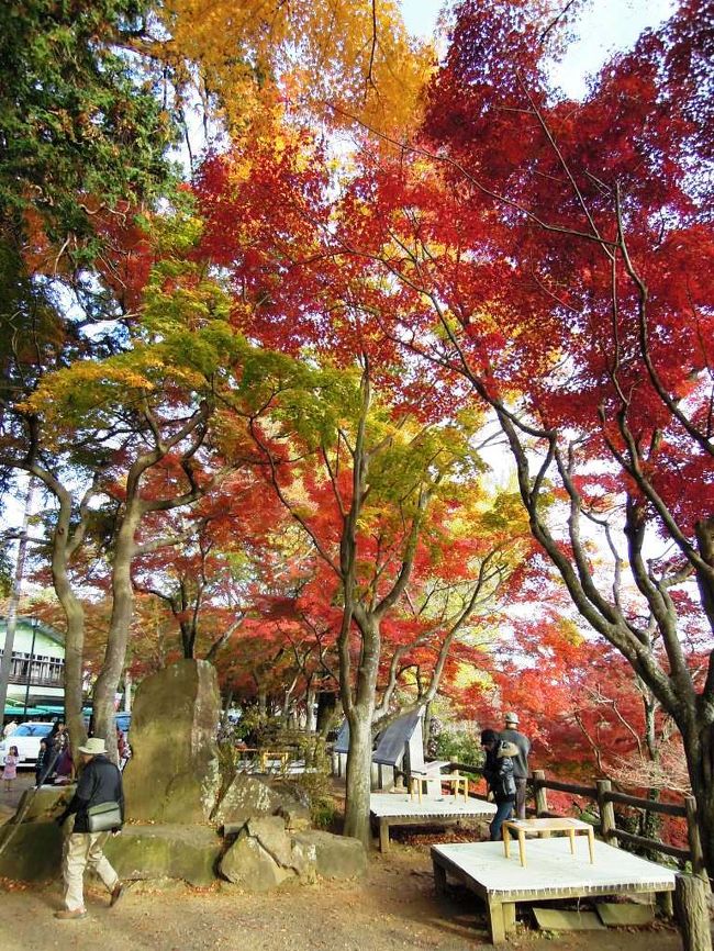 「謙信平」の名は、戦国時代に上杉謙信が太平山から関東平野を見渡した際にその平野の広さに驚いた、という言い伝えによるものだそうです。