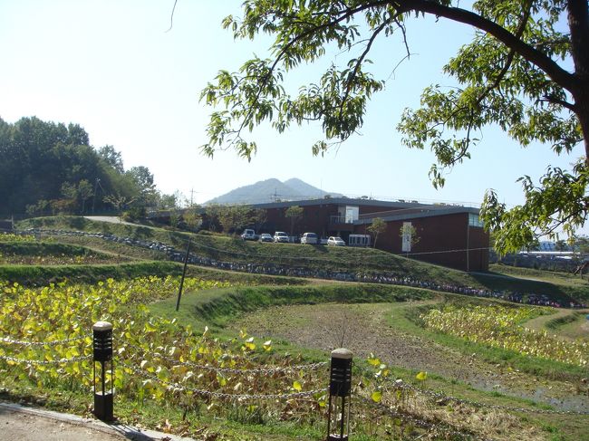 学芸員の方で日本語の上手なかたがいらして、道案内をしていただきました。<br /><br />日本に留学していたそうです。<br /><br />公州は『東方神起のジェジュンの出身だそうですね〜』とふったところ彼女は『私は嵐のファンです〜』と言ってました。（笑）