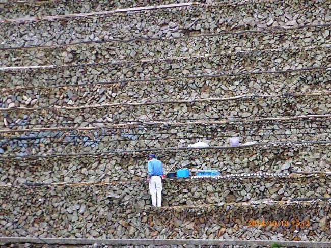 人がいますね。