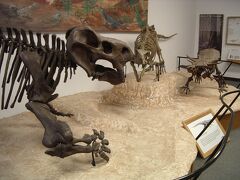 ビジター・センターには恐竜っぽい化石が展示されている。