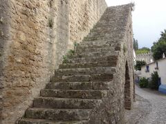 城壁は数か所にこんな階段が付いていて、上に登ることができます。
お城に近い一部分は通れないので、完全に一周することはできませんでした。