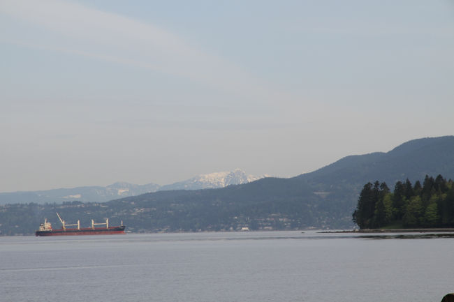 遠くの山々が白い。