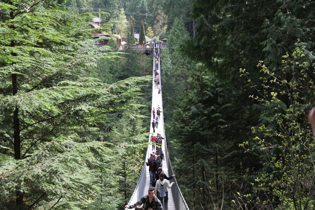 意を決して渡ってみました。渡り切ってみれば、なんということはなかった。