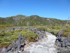 八ヶ岳の噴火でできた溶岩台地「坪庭」