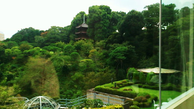 曼珠沙華の世界をのぞき見た後は、電車とバスを乗り継いで東京の目白へ寄り道。<br />椿山荘のカフェでティータイム。<br /><br />窓から見える三重塔は室町時代に東広島市の竹林寺に立てられたものらしく、大正時代にこちらに移築されたという。<br />東広島…親族のご縁がある地。高校生の時遊びに行ったな〜今度は西条の酒蔵めぐりしたいなぁ。