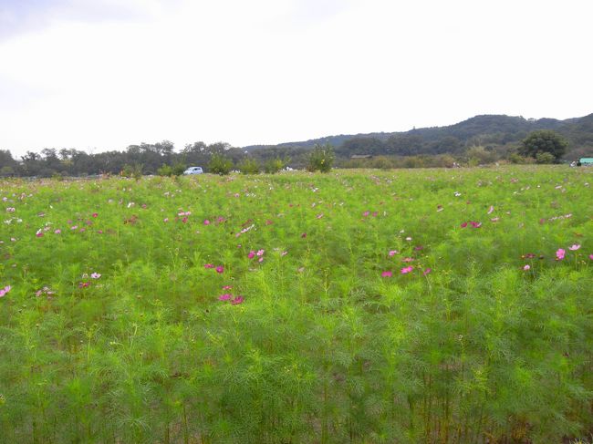 自然がいっぱいですね〜