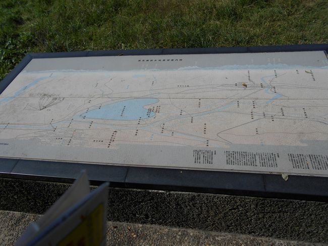 渡良瀬遊水展望図