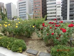 12:00
【中之島公園】のバラ園です。様々な色のバラが咲き誇っていました☆