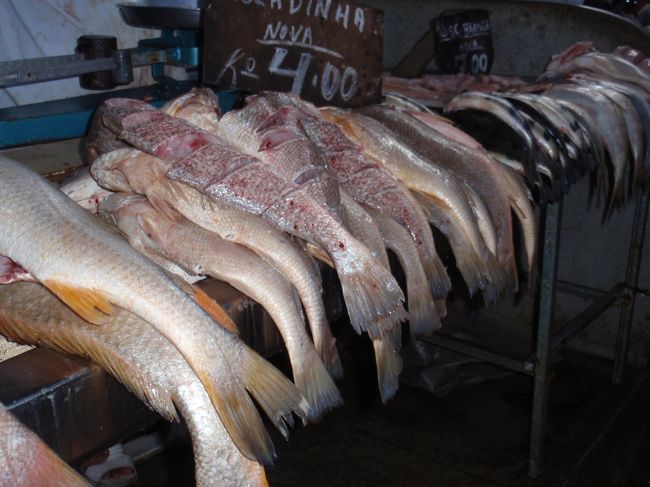 アマゾン河で捕れた魚