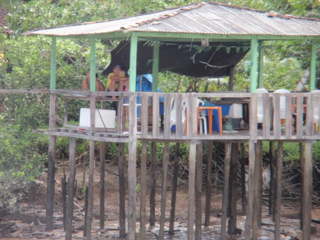 １０倍ズームで撮りました。川沿いの原住民の住居