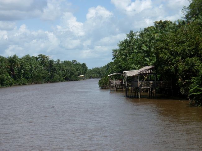 アマゾン河の支流アラパリ川に入ると川らしくなりました