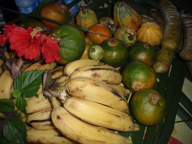 果物も豊富です