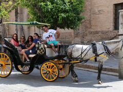 旧市街中心部のカテドラルや広場周辺には
たくさんの観光馬車が客待ちしていました。