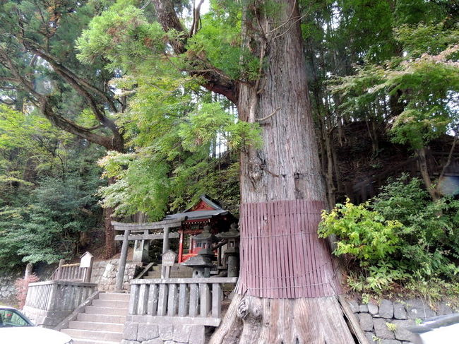 世界遺産 東照宮と戦場ヶ原 秋の日光充実の旅 Vol １ 日光東照宮 江戸の昔に甦る平成の大修理 日光 栃木県 の旅行記 ブログ By Hot Chocolateさん フォートラベル