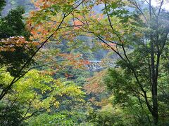 木々の間から飛龍橋が見えました。