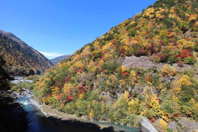 14年10月富士山周遊の旅 3 白鳳渓谷 早川 山梨県 の旅行記 ブログ By Ottyannさん フォートラベル 14年10月富士山周遊の旅 3 白鳳渓谷 早川 山梨県 の旅行記 ブログ By Ottyannさん フォートラベル