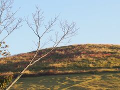 春日大社から若草山へ。
こちらも朝日を浴びて綺麗です。