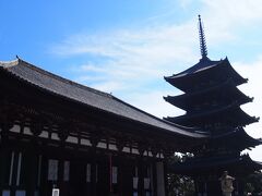 興福寺。

見るべき仏様がたくさんです。
もちろんあのイケメン阿修羅像にもご対面してきました。