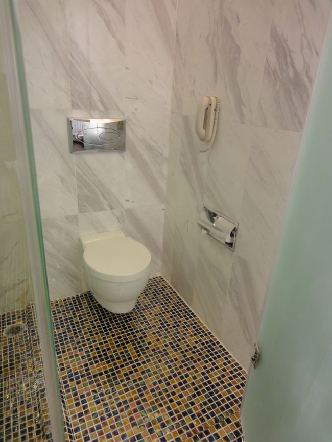 トイレはバスルーム左側に、すりガラス扉はついてます。