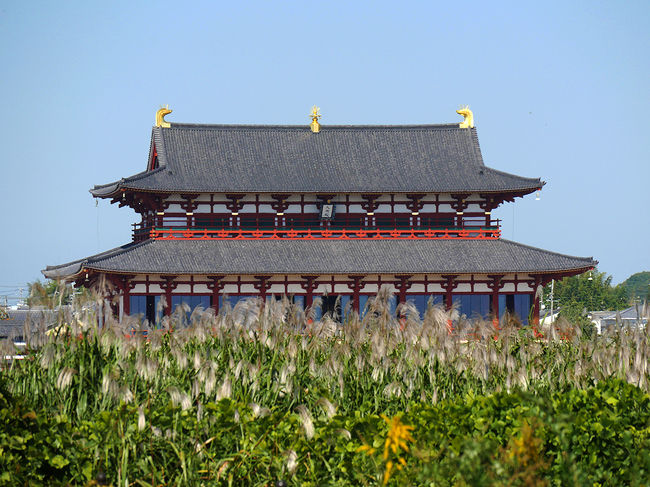 背高泡立ち草とススキ越しの第一次大極殿