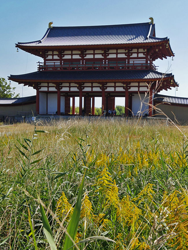 大極殿側から見た朱雀門