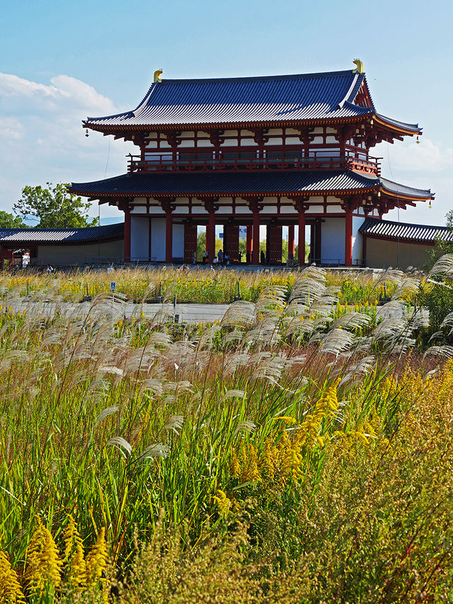 国営公園化が決定しているようで、このあたり一帯が奈良時代にスリップしたような広大な史跡公園になるようです。何れ又、完成された暁には再訪したいものだ・・・<br /><br />何とか、朱雀門まで戻ってきました。広大な２駅区間を歩く事となり、日頃あまり歩く事の無い吾輩にはチト苦痛であった。<br />