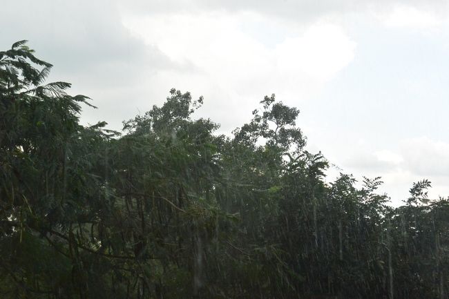 10月30日、まだ午後になると急な大雨がやってきます。