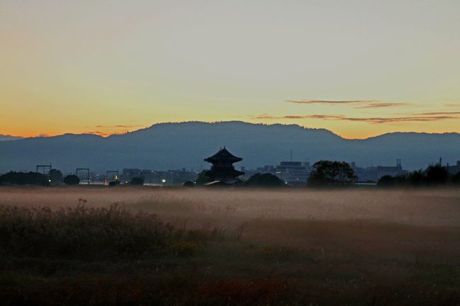 夜明けの大極殿を撮りたく出撃。現地に到着してびっくり。何と霧がかかっている。撮影予定地の手前で素晴しい光景。建物は朱雀門。